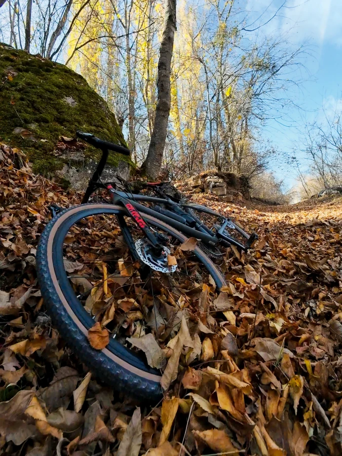 Koramaz Vadisi: Sonbaharın tam ortası 🍂